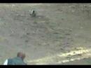 Ethopia: Monkeys and Pierce in SOdere