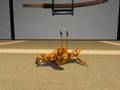 Crab Fu