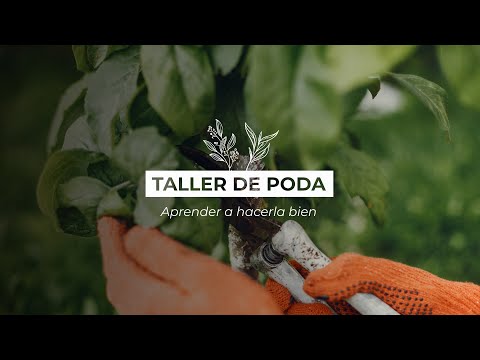 Taller de Poda