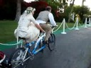 M&M get married... M&M get married...