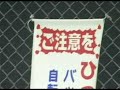 Walking Maggie-Peeing Yakuza & Cherry Blossoms! Walking Maggie-Peeing Yakuza & Cherry Blossoms!