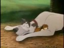 Fox And Hound ReBirth
