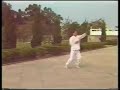 Mantis Kung Fu Lahn Gee - Master Shi Mantis Kung Fu Lahn Gee - Master Shi
