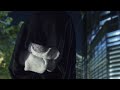 Ask Palpatine 6 - Killing Darth Plaguis Ask Palpatine 6 - Killing Darth Plaguis