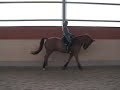Mission to S-Dressage Mission to S-Dressage
