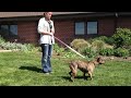 Click here to watch this video 