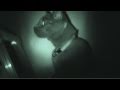 Feline Ghost Adventures - Official Version