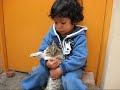 MI GATO CARIÑOSO