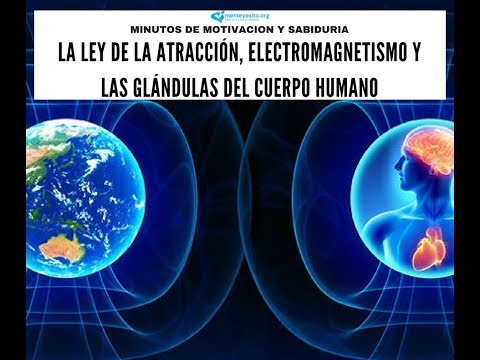 La Ley De La Atracción, Electromagnetismo Y Las Glándulas Del Cuerpo Humano La Ley De La Atracción, Electromagnetismo Y Las Glándulas Del Cuerpo Humano