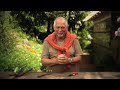 Vídeo sobre dicas de jardinagem, desenvolvido para o blog Jardim das Ideias da STIHL, com colaboração de Raul Cânovas.FICHA TÉCNICA:Apresentação: Raul CânovasIdealização: W3hausRealização: Maloca EstúdioApoio: Floricultura Winge