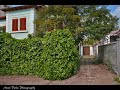 dalboz-hajde-sonte.html
