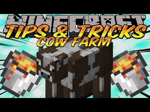 minecraft update minecraft update