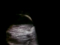 MOV01664.MP4