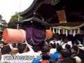 Tagata Shrine Honen Festival