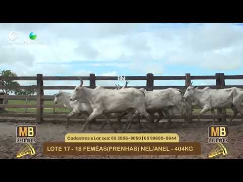 536� LEIL�O VIRTUAL MB LEIL�ES