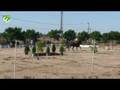 videos de jorge_santos_velocidade 2008