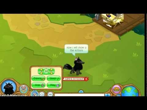 Animal Jam Arctic Wolf Code