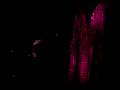 Madonna: Sticky and Sweet Houston 11/16 She's Not Me 2 of 2