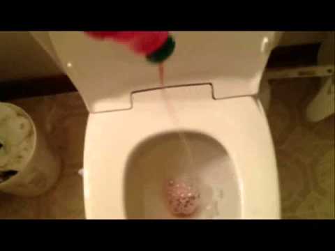 how to unclog toilet with plunger