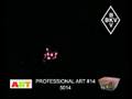 Professional Art 14 - 5014