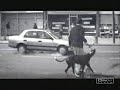 No solo tu eres victima de los accidentes de trafico