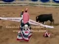 Bull teeter totter