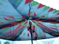 Hallucinogen Live (Gamma Goblins) Ozora festival 2007