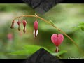 An Inspirational Video - Life\ An Inspirational Video - Life\