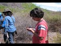 Exploración para inventario de fauna en el estero El Soldado