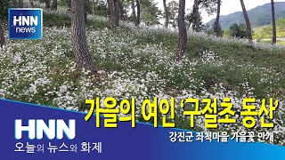 가을의 여인 '구절초 동산'