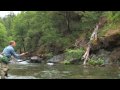 Tenkara fly-fishing