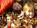 videos de Thanksgiving Memories