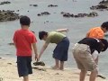 videos de Kemesraan di Pantai