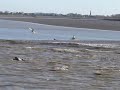The Severn Bore - 21 March 2007 The Severn Bore - 21 March 2007