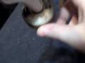 videos de my new skateboard