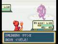 Let's play Moemon part 4 Brock's eyebrows