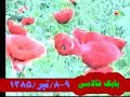 (U) BABEK Qalasina Chaghirish - Veten (U) BABEK Qalasina Chaghirish - Veten