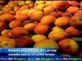 Meet The Bloggers Food Policy with Nathan Havey