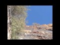 Sunshine and Sandstone: Climbing in Red Rock