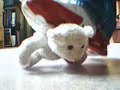 Toy Bear Trample Toy Bear Trample