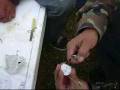 videos de smoke hash - dry drink
