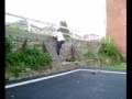 Cat Leap Training