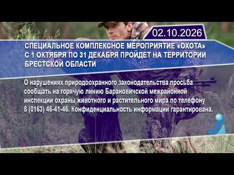 Новостная лента Телеканала Интекс 02.10.26.