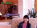 ESKY Lama V4 Ready To Fly RC Helicopter
