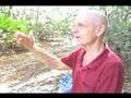 HIV /  AIDS CureMovie Segment  2