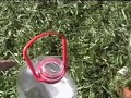 Ethanol fuel in action