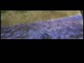 Red vs Blue Zealot fight - yakety sax Red vs Blue Zealot fight - yakety sax
