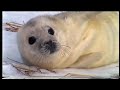 banned documentary about global warming part 4