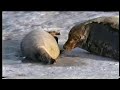 banned documentary about global warming part 4