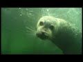 banned documentary about global warming part 4